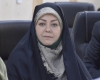 محمودیان: حل مسائل اجتماعی و تحقق مطالبات شهروندان، مستلزم هم افزایی میان دستگاههاست