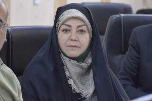 محمودیان: حل مسائل اجتماعی و تحقق مطالبات شهروندان، مستلزم هم افزایی میان دستگاههاست